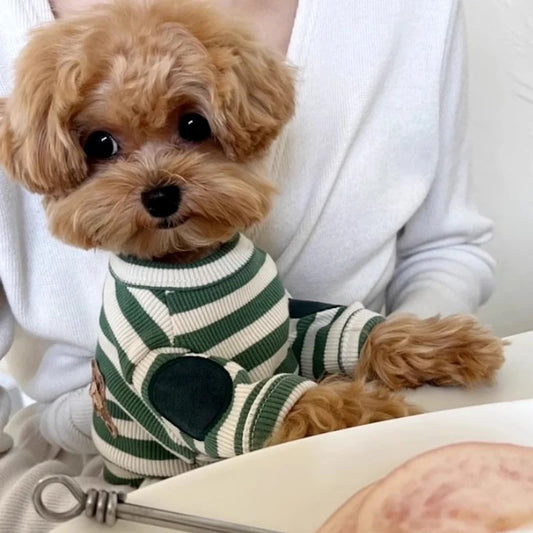 Summer Pet Shirt. Cute Striped Dog Clothes with Bear Print. Breathable Cat Pullovers. Pet Sweatshirts. Dog Apparel