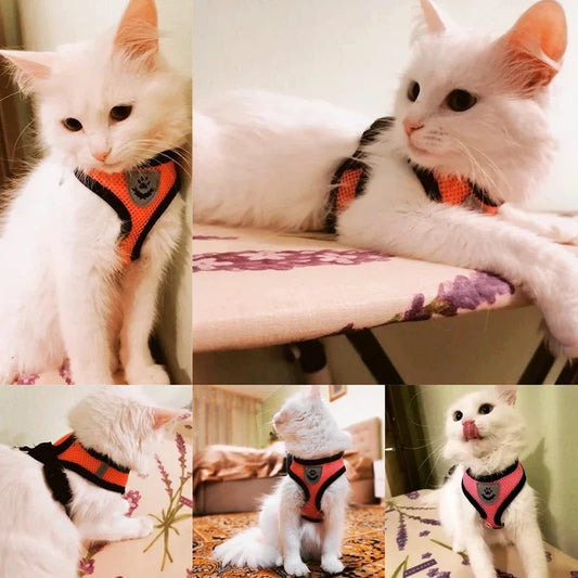 Cat Harness Vest. Walking Lead Leash For Puppies & Cats. Collar Polyester. Adjustable Mesh Harness For Small Medium Pets