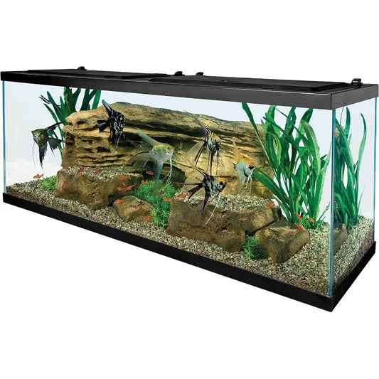 55 Gallons Rectangular Glass Aquarium for Home or Office Decor. Transparent Fish Tank with Builtin Filtration Sys