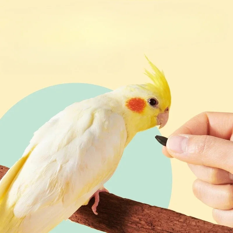 Parrot Melon Seeds. Tiger Feed Bird Food Snacks. Training Reward Food. Black Pearl Oil Sunflower/ Small Melon Seeds Bird Food