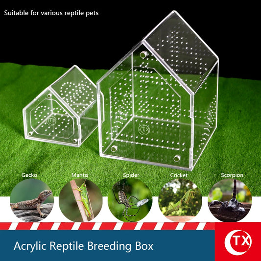 House-Shaped Acrylic Reptile Breeding Box. Transparent Pet Habitat for Spiders, Lizards & Insects. Magnetic Door & Breathable