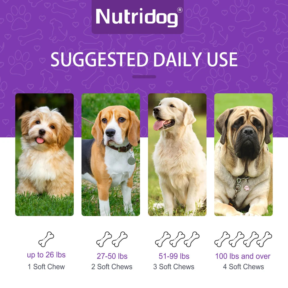Turmeric Chews For Dog - Anti-inflammatory joint care. Contains glucosamine & chondroitin - Digestive support-120 soft chews