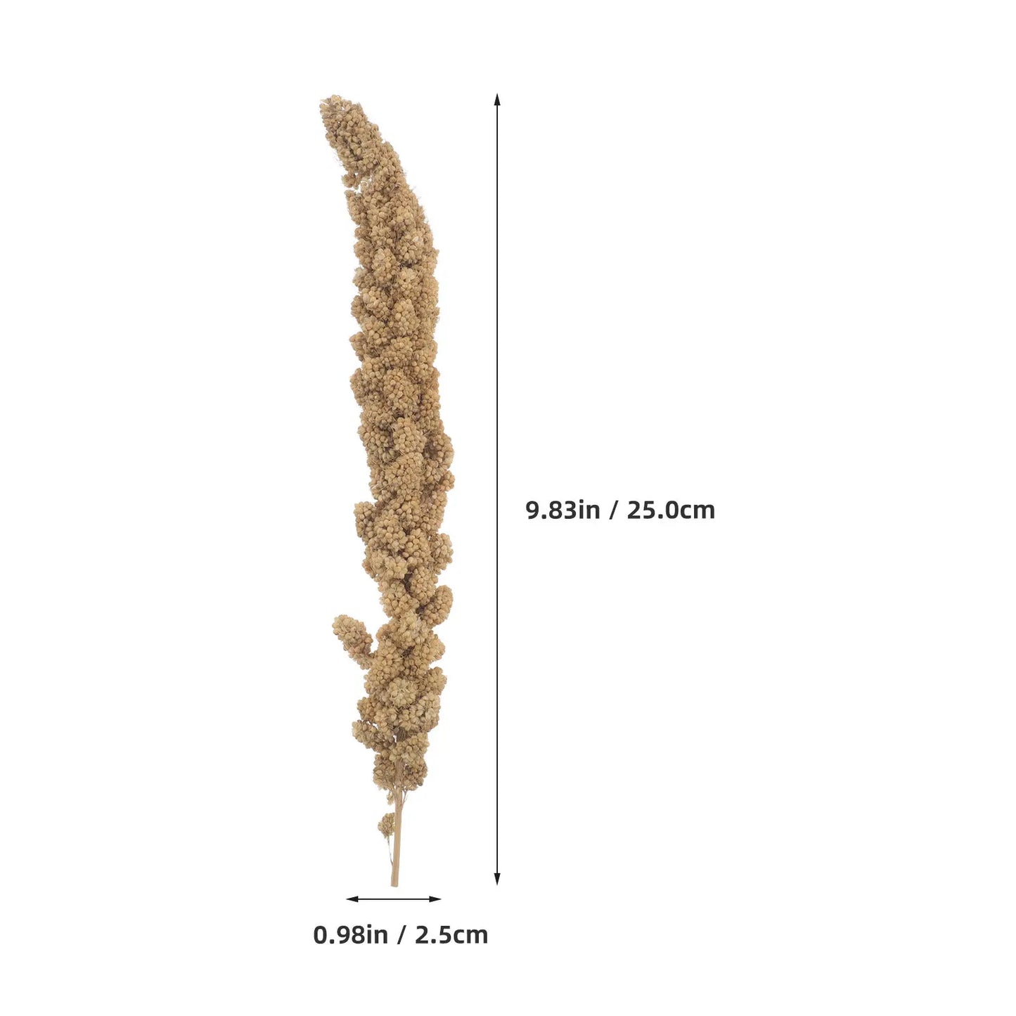 1 Pack Of 500g Parrot Snacks. Ears Of Grain Millet Treat For Pet Birds. Natural Dried Millet For Parakeets, Parrots, Cockatiels