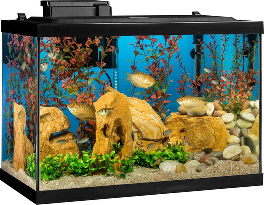 20 Gallon Complete Tropical Fish Tank Kit with LED Lighting, Filter, Heater & Decor