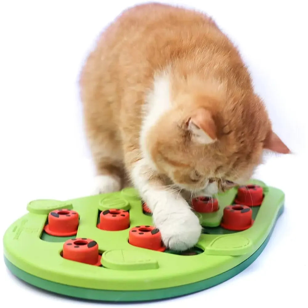 Cat Puzzle Treat Toy. Made of High quality Non toxic Plastic with Playful and Interactive Style. Adjustable Difficulty. Mental
