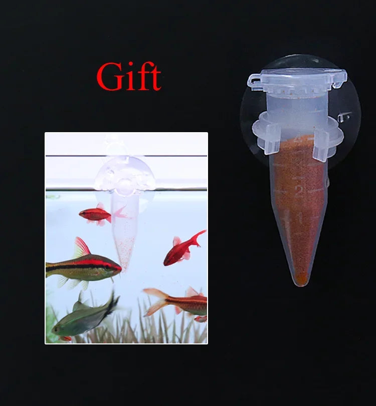 Shelling Shrimp Eggs Have Hatched. Peacock Fish Special Food, Tropical Fish, Juvenile Open Feed