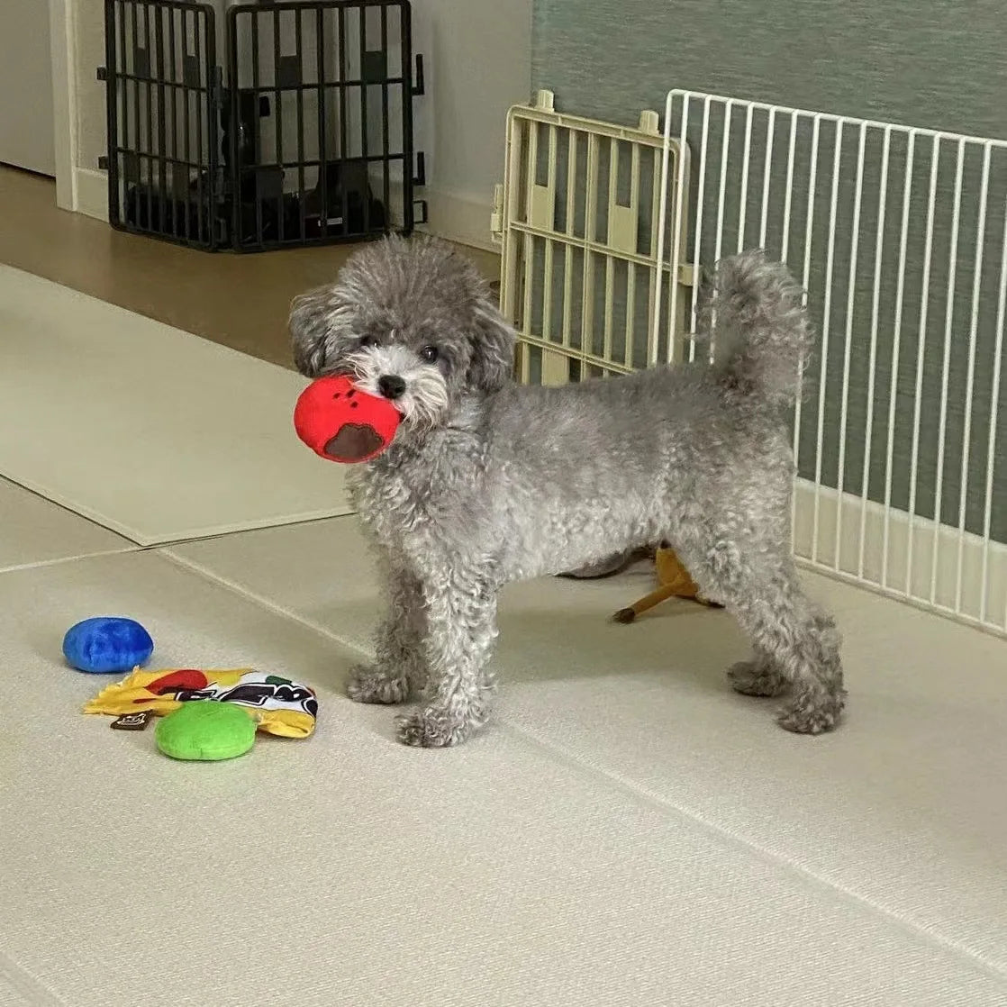 Dog Toys Encourage Natural Foraging Skills. Slow Feeder for Training and Stress Relief, Cloth Strip Hiding Food Chew Toys.