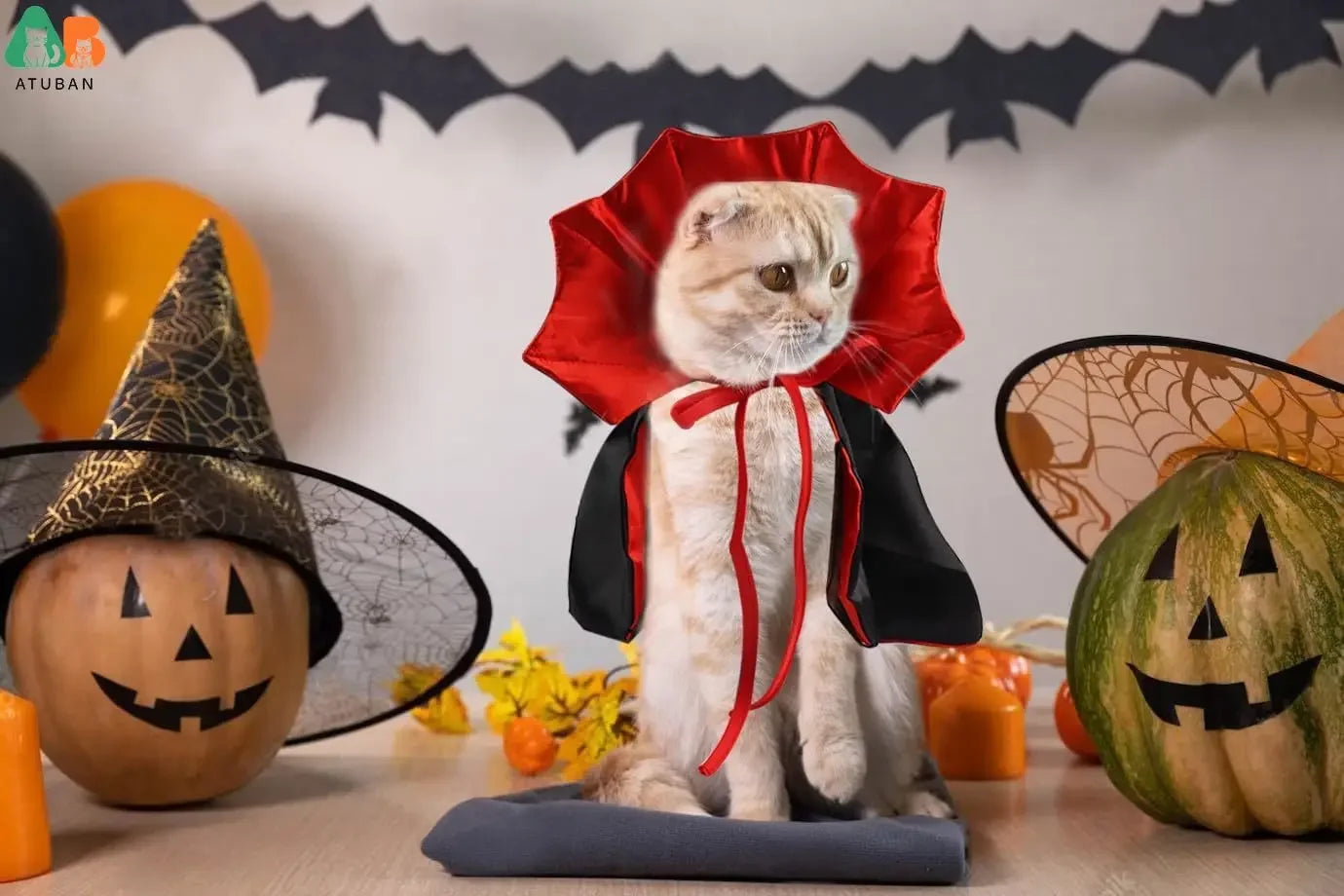 Halloween Cat Vampire Cloak Costume. Adjustable Pet Cape.