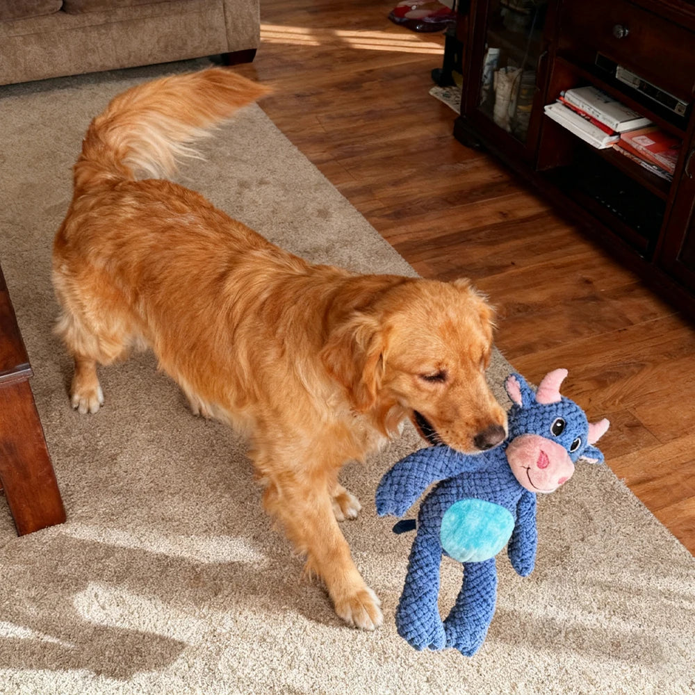 Durable Interactive Plush Dog Toy. Soft Large Companion Toy for Small Medium Large Dogs