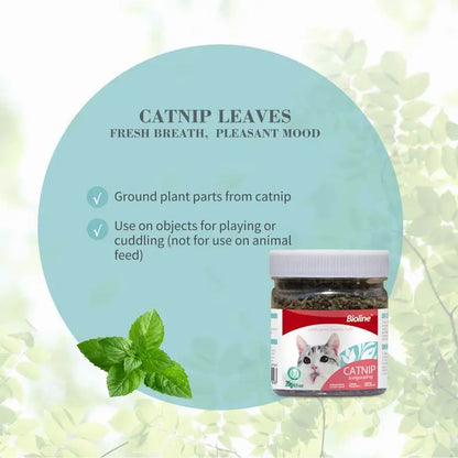 Catnip for Cats. Natural Dried Cat Mint Leaves. 20g Organic Catnip Treat. Relieves Stress Encourages Play. Kitten Toys