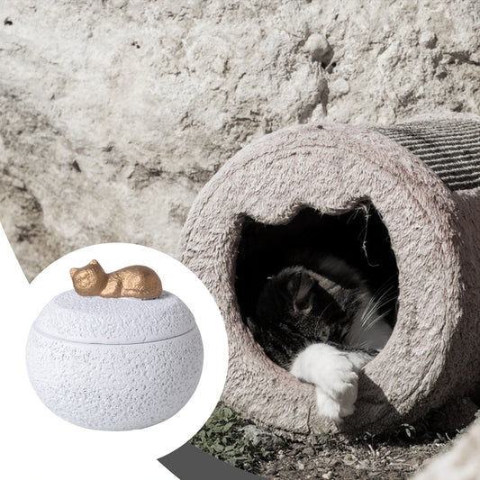 Pet Urn, Cremation Memorial. Keeping Precious Memories. Urn Box for Burial. Final Comforting Resting Place.