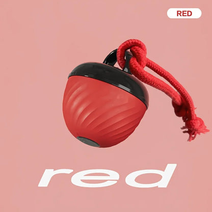 1 Interactive Intelligent Dog Ball Toy. |USB Charging, Bite Resistant, Tail Rope, Light & Barking. |Indoor Pet Game for Small/Medium Dogs