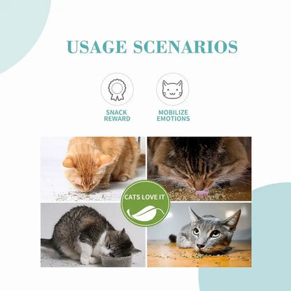Catnip for Cats. Natural Dried Cat Mint Leaves. 20g Organic Catnip Treat. Relieves Stress Encourages Play. Kitten Toys