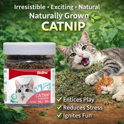 Catnip for Cats. Natural Dried Cat Mint Leaves. 20g Organic Catnip Treat. Relieves Stress Encourages Play. Kitten Toys