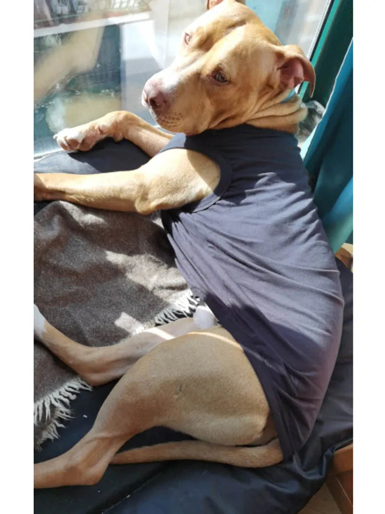 Dog Shirt Clothes, Spring Summer T Shirt Apparel Soft Blank Shirts/Clothes For Extra Small, Medium, Large, Extra Large Size Dogs