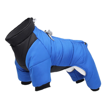 Waterproof Small Dog Coat With D Ring. Warm Pet Clothing for Medium Dogs. Best for a Chihuahua or Poodle.