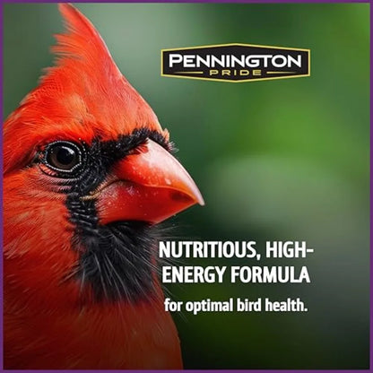 【Spot goods】Pride Songbird Nut and Fruit Blend Wild Bird Seed for Outside Feeders. Advanced Nutrition Formula for Health
