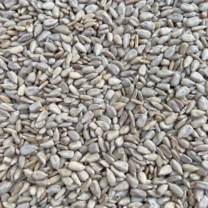 Premium Pet Parrot Bird Seed & Pigeon Food. Selective Wild Bird Supplies.