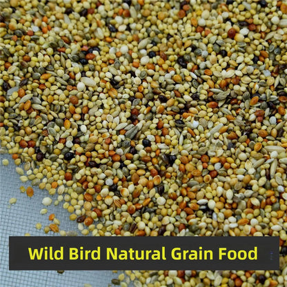Wild Bird Seed, Small Size. Natural Wildfield Sparrow Food Grain for Wild Bird Feeding. Special Grain Food for Birds