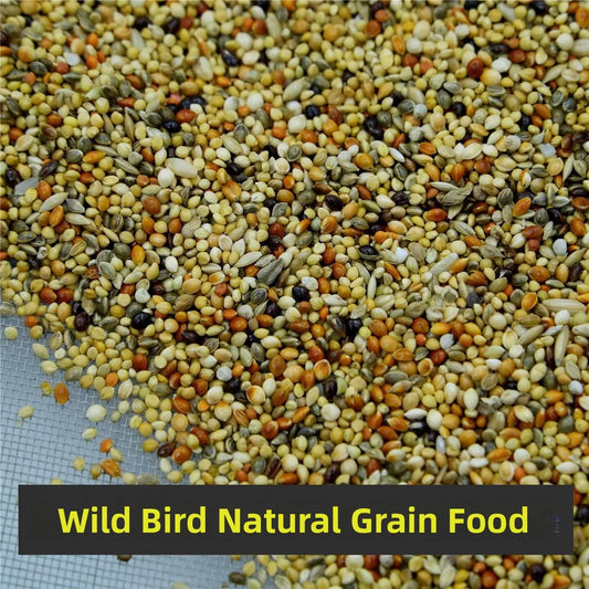 Wild Bird Seed, Small Size. Natural Wildfield Sparrow Food Grain for Wild Bird Feeding. Special Grain Food for Birds