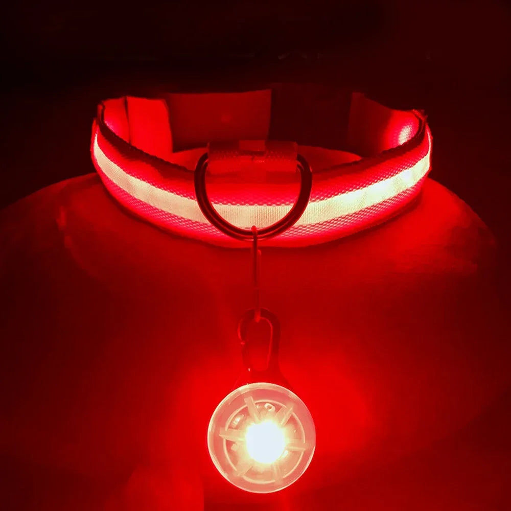Usb Charging Glowing Collar With Pendant Detachable Luxury Led Light. For Small Dogs Cat Night Safety