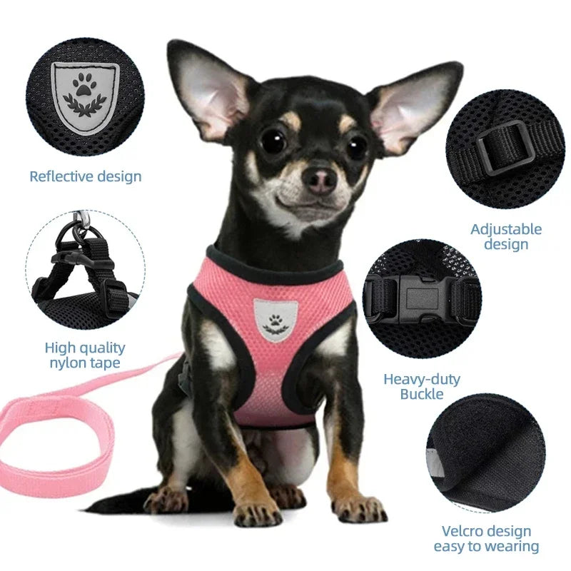 Cat Harness Vest. Walking Lead Leash For Puppies & Cats. Collar Polyester. Adjustable Mesh Harness For Small Medium Pets