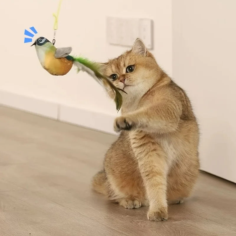 Bird Cat Toys. Indoor, Interactive Cat Toy for Cats. Chasing, Teasing, Sounding Toy. Catnip Cat Teaser Toy.  Wall Hanging