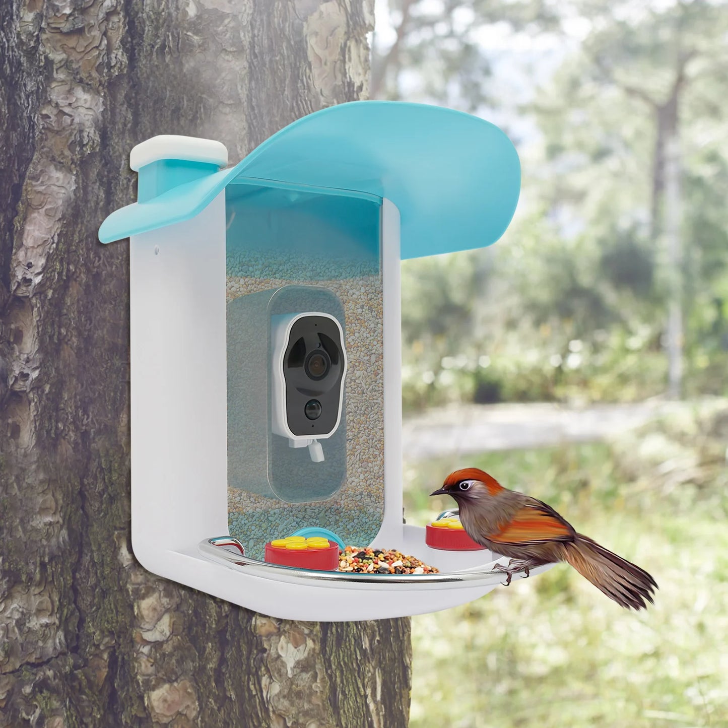 Smart Bird Feeder with Camera, Bird House for Outside, Bird Auto Capture with Solar Panel. Can Attract Sparrows, Hummingbirds