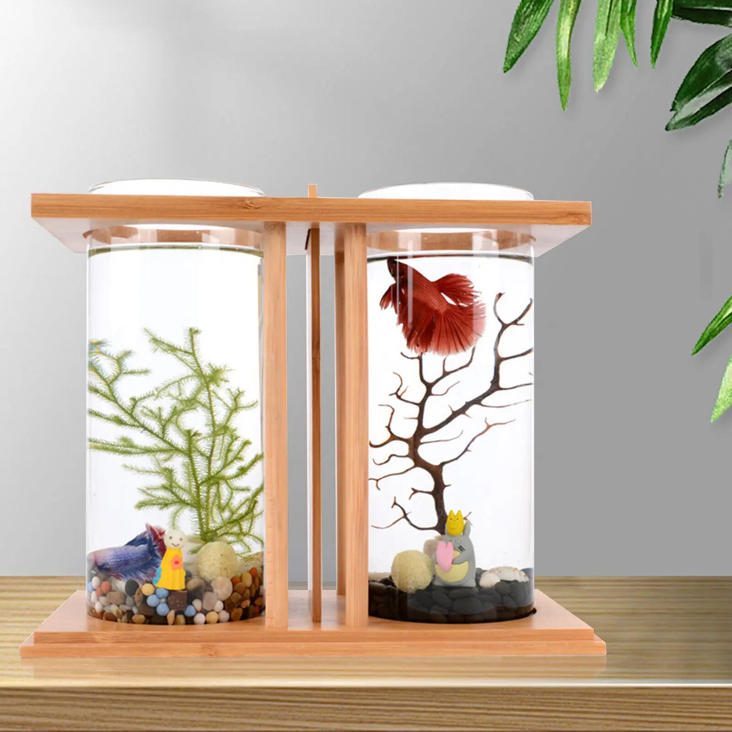 Glass Betta Fish Tank with LED Light. Bamboo Base ,Mini Aquarium Set for Desktop Home Office Decoration 2 Tanks