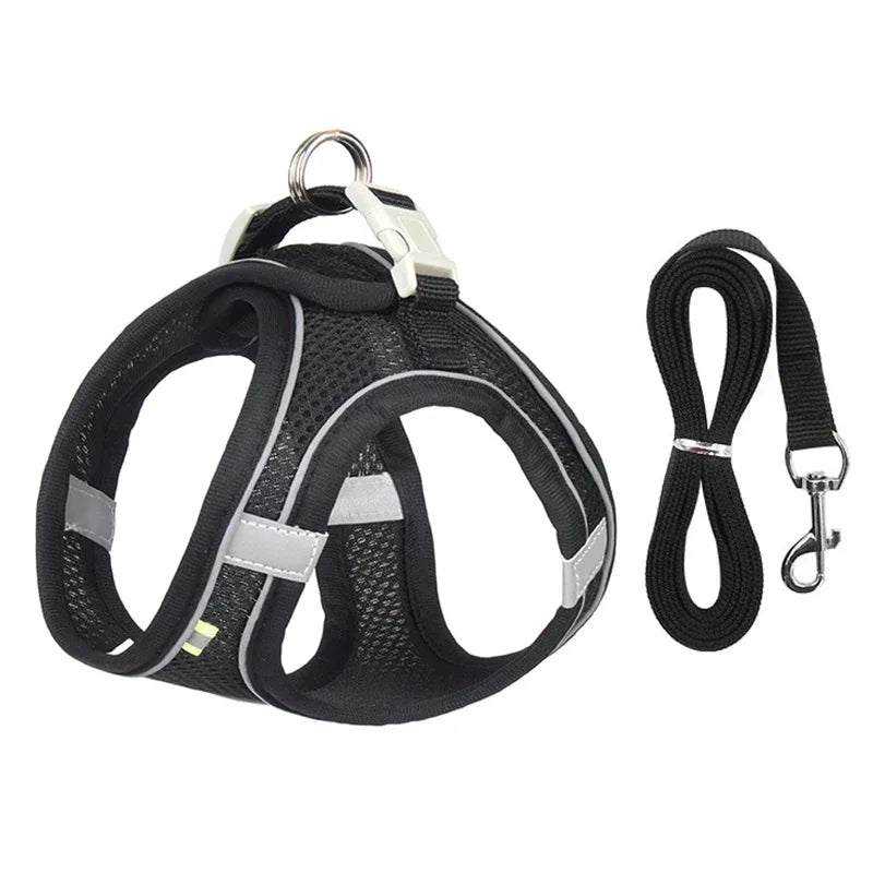 Puppy Harness Set. Adjustable Puppy and Cat Harness Vest. Small Dog Collar Pet Leash
