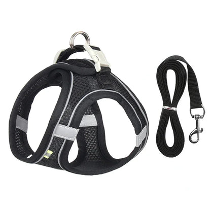Puppy Harness Set. Adjustable Puppy and Cat Harness Vest. Small Dog Collar Pet Leash