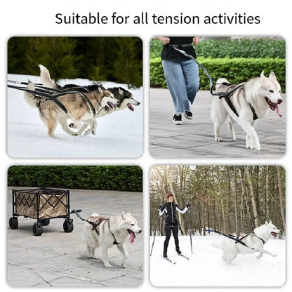 Outdoor Dog Harness and Leash Set for Medium and Large Dogs, Suitable for Walking and Sledding
