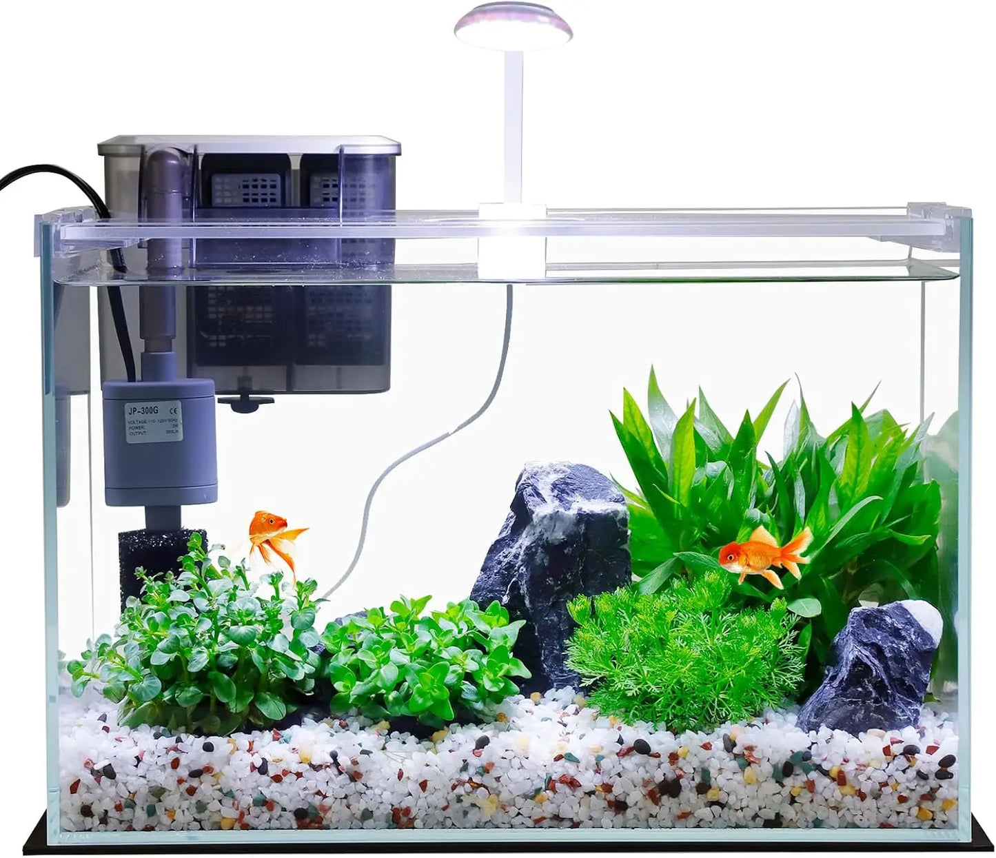 5 Gallon Glass Aquarium Kit with Filter, Light & Lid - Perfect Betta Fish Tank Starter Set