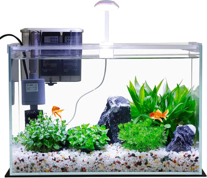 5 Gallon Glass Aquarium Kit with Filter, Light & Lid - Perfect Betta Fish Tank Starter Set