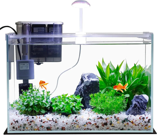 5 Gallon Glass Aquarium Kit with Filter, Light & Lid - Perfect Betta Fish Tank Starter Set
