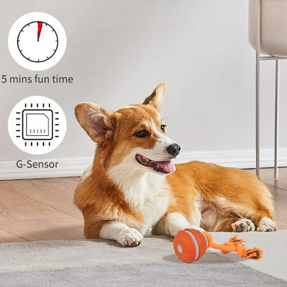 Pet Ball for Dogs. Interactive Toys. Motion Activate Rolling Ball for Puppy/Small Dogs. Automatic Moving Toy. USB Rechargeable Toy