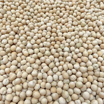 Premium Pet Parrot Bird Seed & Pigeon Food. Selective Wild Bird Supplies.