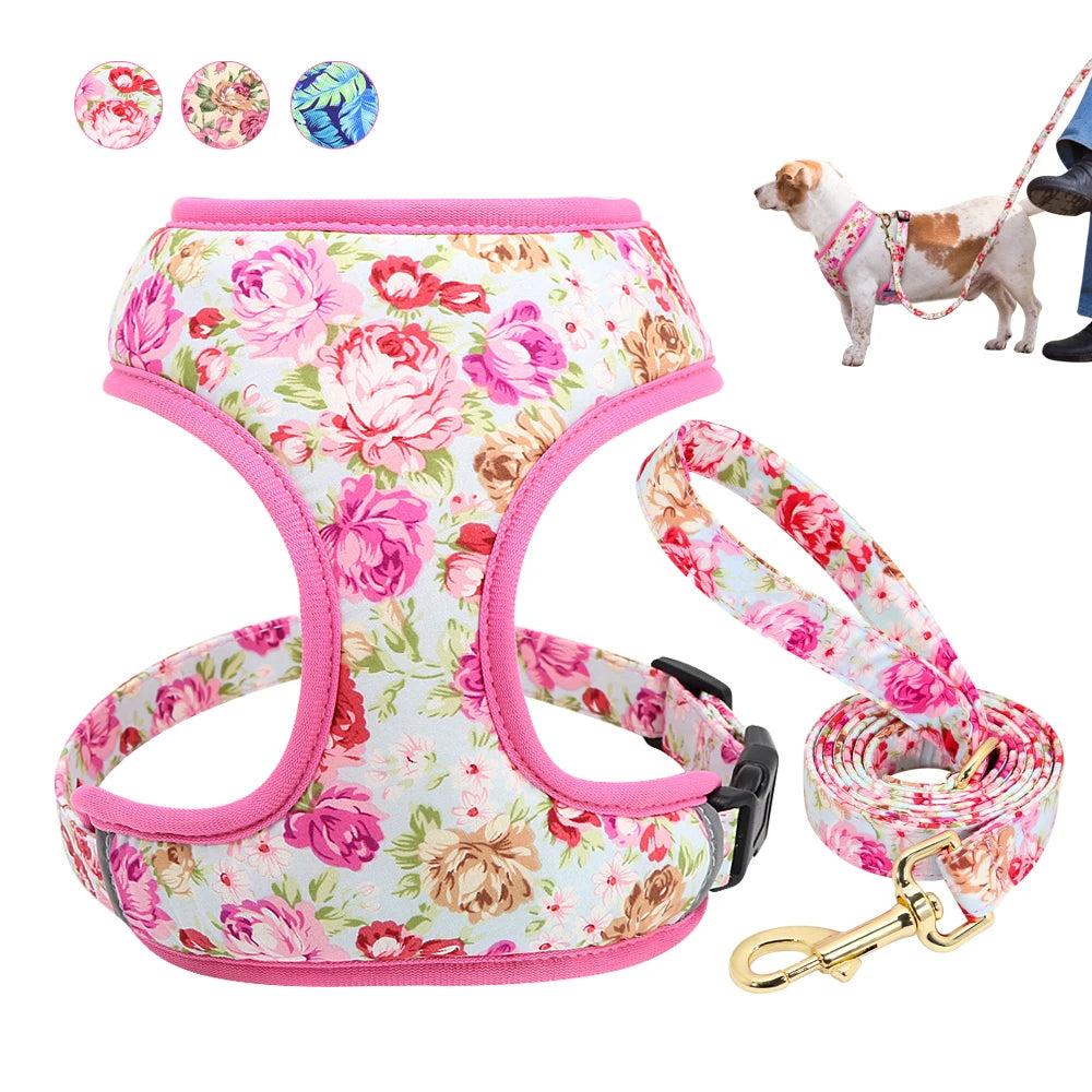 Cute Printed Dog Harness Leash Set. Soft Mesh Puppy or Cat Harness. Adjustable Walking Lead For Small & Medium Dogs & Cats