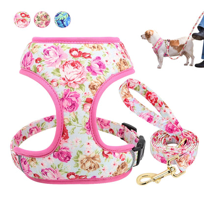 Cute Printed Dog Harness Leash Set. Soft Mesh Puppy or Cat Harness. Adjustable Walking Lead For Small & Medium Dogs & Cats