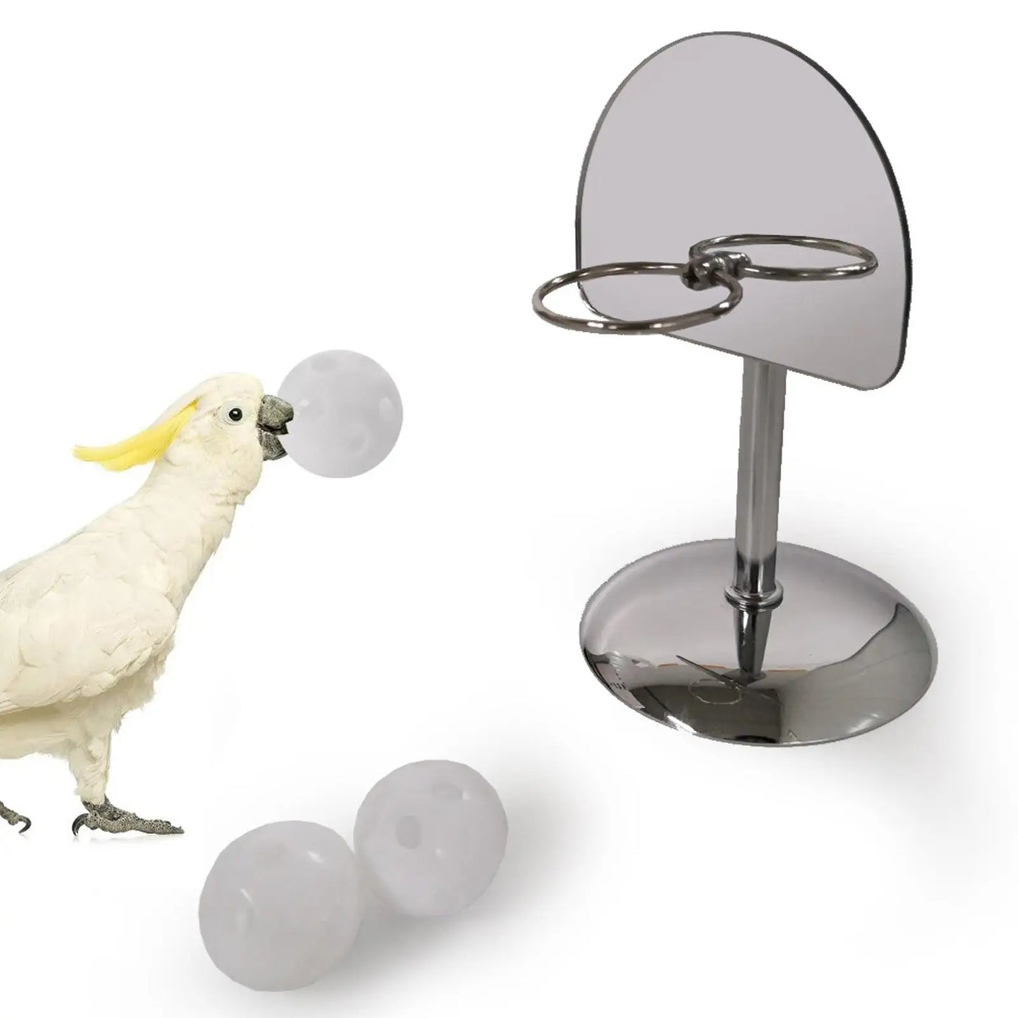 Bird Training Toys. Parrot Cage Supplies. African Grey Trick Prop. Small Birds, Conures, Lovebirds, Budgie, Parrot Toys for Basketball