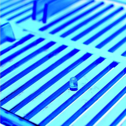 A fish tank suitable for families, with a lid and a partition inside. Suitable for raising small and medium-sized fish