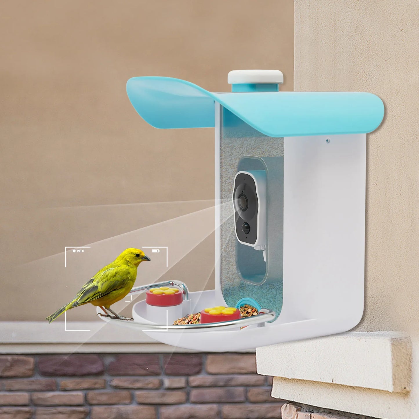 Smart Bird Feeder with Camera, Bird House for Outside, Bird Auto Capture with Solar Panel. Can Attract Sparrows, Hummingbirds