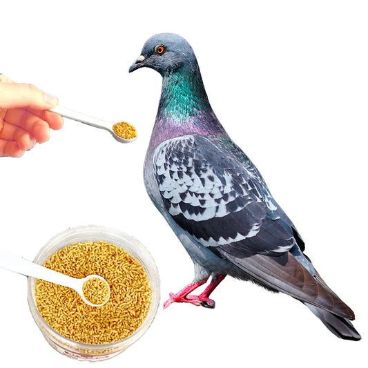 Bird Pet Nutrition Supplement Vitamins. Promoting Appetite And Weight Gain. Pigeons, Spotted Dove, & Feather luster. Improve Immunity.