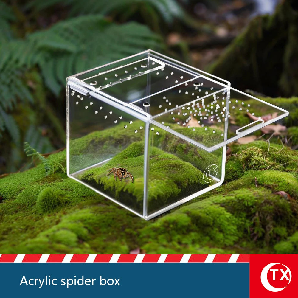 House-Shaped Acrylic Reptile Breeding Box. Transparent Pet Habitat for Spiders, Lizards & Insects. Magnetic Door & Breathable