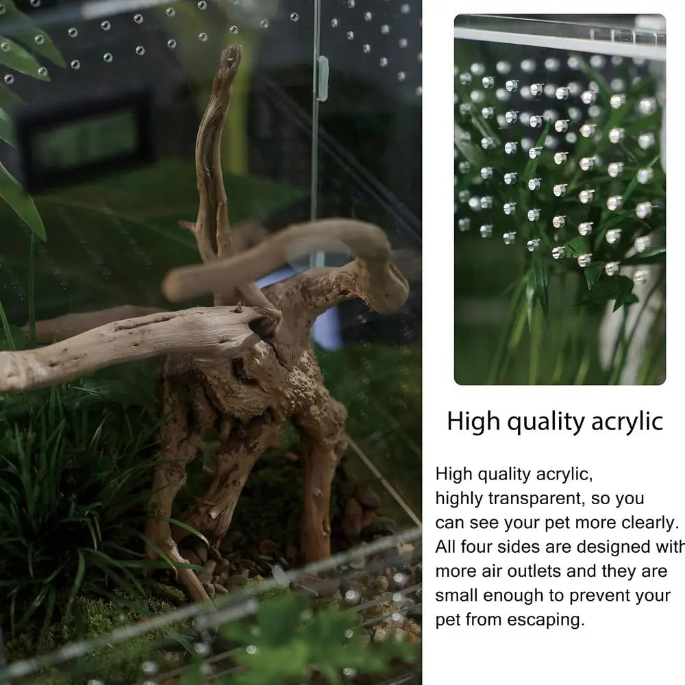 Acrylic Clear Reptile Habitat Enclosure Terrarium with Latch ，Perfect for Amphibians and Invertebrates Such as Spiders, Frogs, e