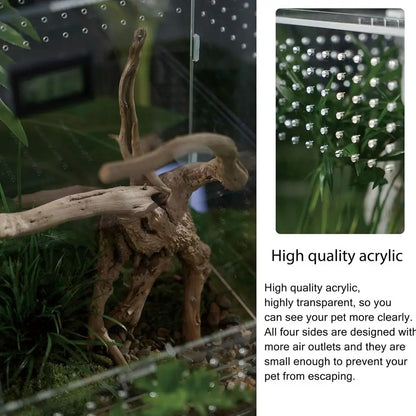 Acrylic Clear Reptile Habitat Enclosure Terrarium with Latch ，Perfect for Amphibians and Invertebrates Such as Spiders, Frogs, e
