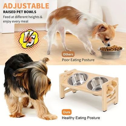 Elevated Small Dog Cat Bowls. Tilted, Adjustable Feeder Stand with 2 Stainless Steel Bowls for Puppies & Cats