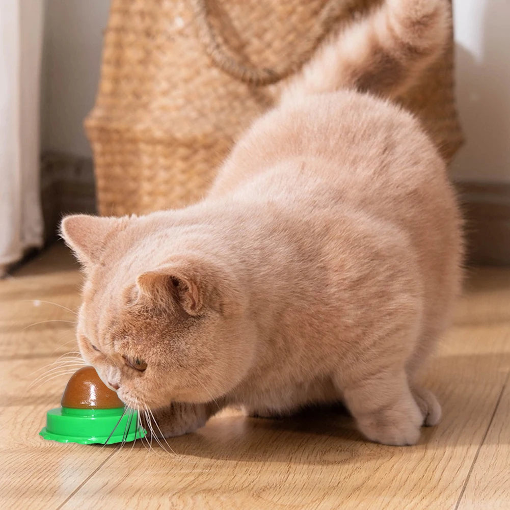 5/10Pcs Catnip Wall Ball. Cat Nip Treats. Lickable Pet Catnip. Candy Ball for Help with Digestion