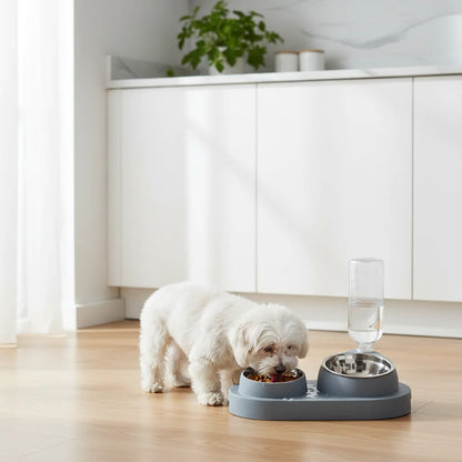 Pet Bowls. Automatic Water Dispenser Feeder. Cat/Dog Food/Water Bowl. Non-Slip Pet Feeding.