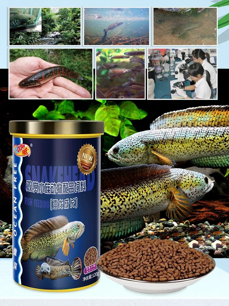 Snakehead Fish Food. Special Feed For Brontosaurus, Thunderfish, Channidae Food. Promote The Growth Of Brightening 120g